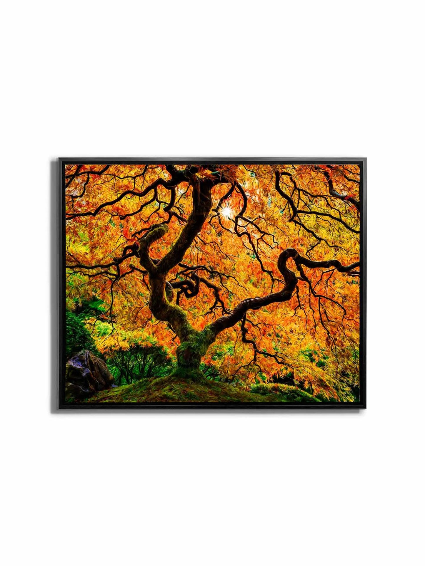 Canvas Print-Orange Tree-Nature Artwork by Gtaart.ca