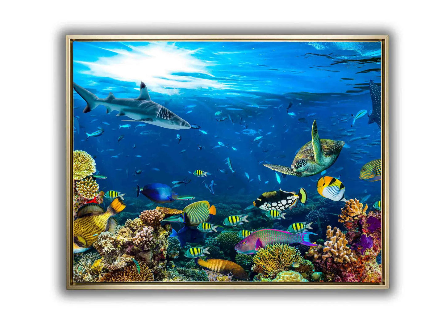 Canvas Print-Below the Surface-Wall Art by Gtaart.ca