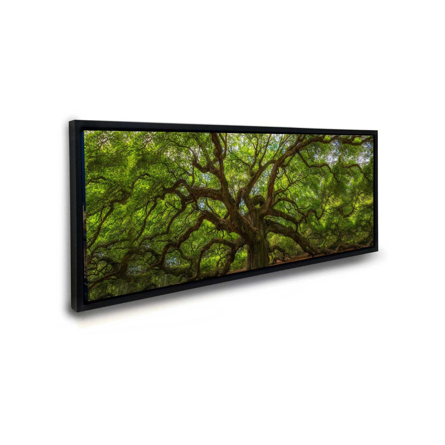 Angel Tree 72" x 24" Fine Art Canvas Print by GTAART.CA