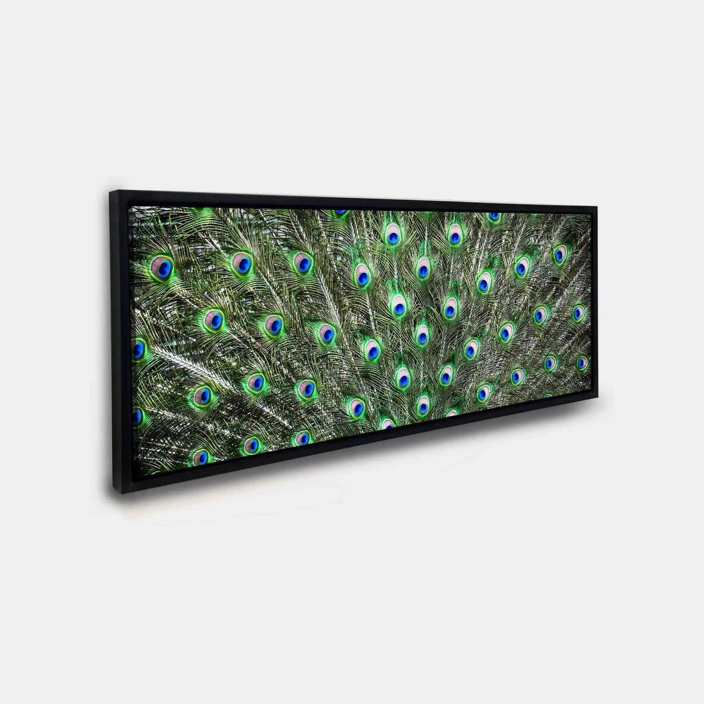 Large Canvas Wall art-Peacock Feathers-Nature Artwork by Gtaart.ca
