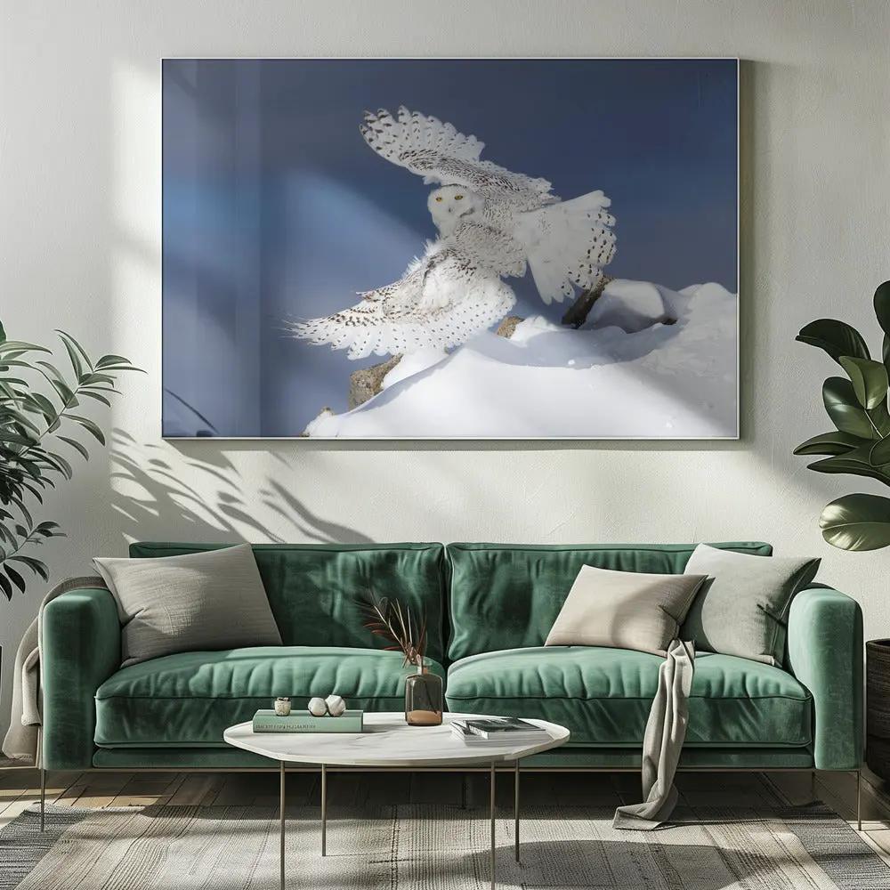 Wall art Snowy Owl in Flight by Jim Cumming