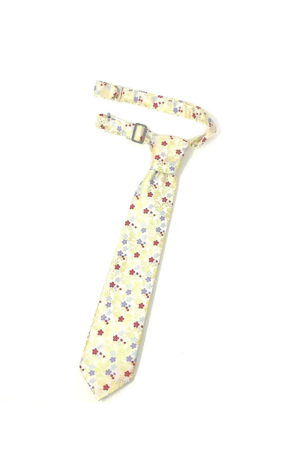 Enchantment Kids Necktie by Tux-USA