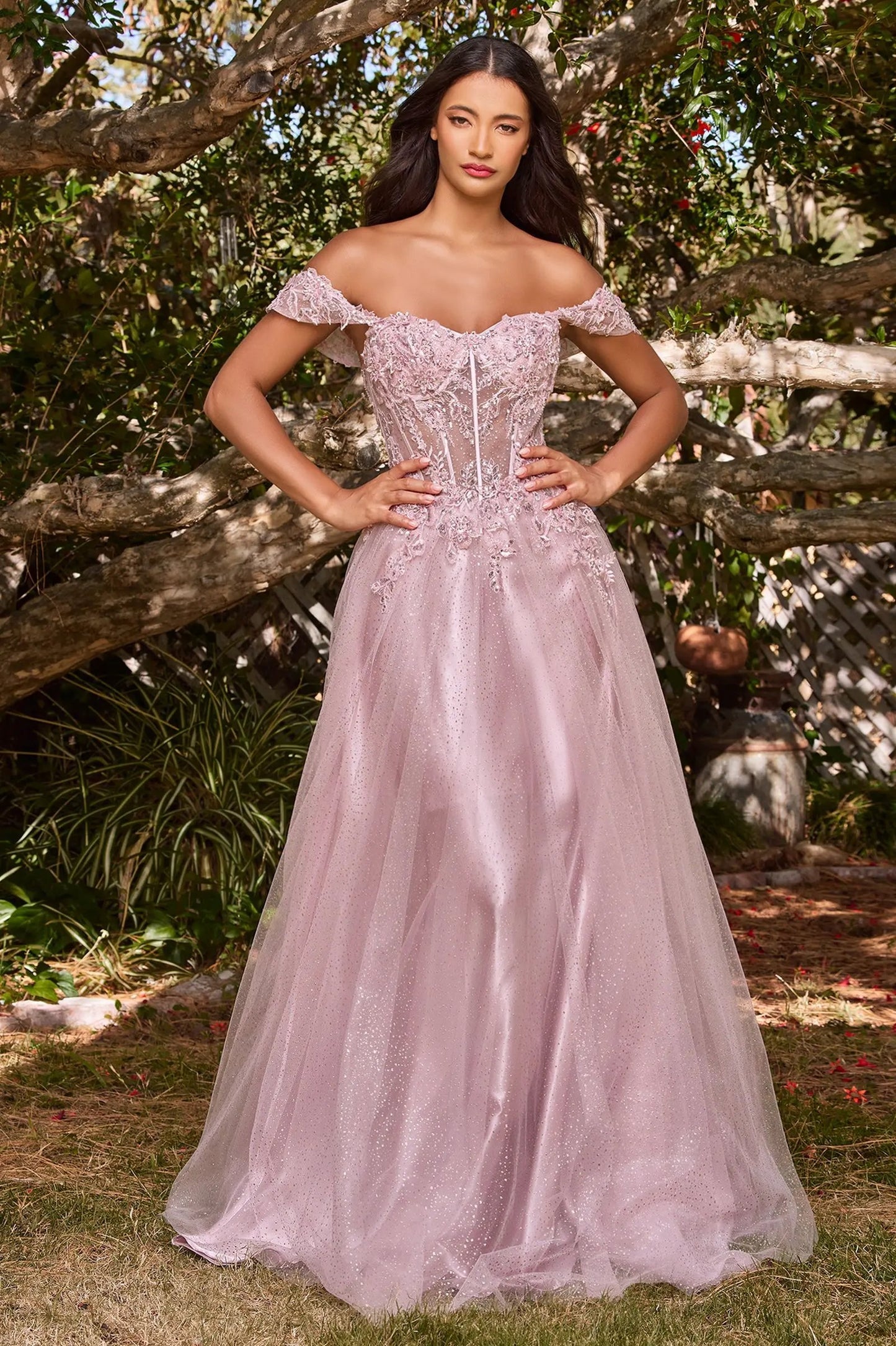 Lace A-Line Gown With Off The Shoulder Sleeves by Tux-USA