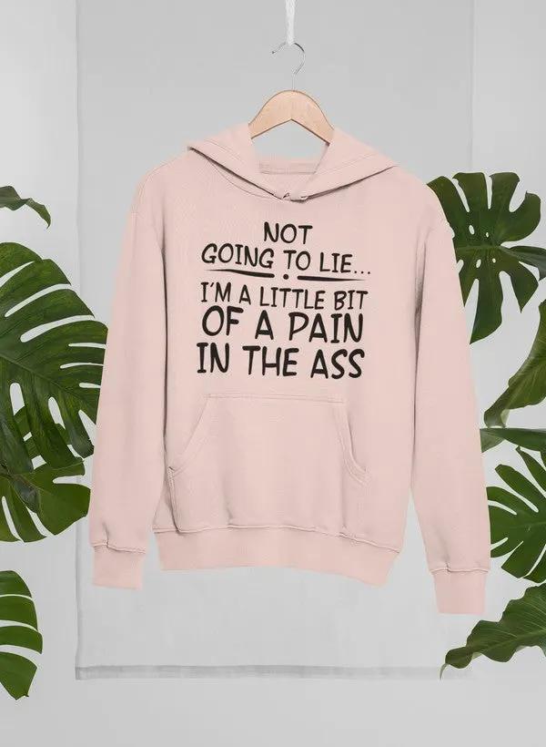 I'm Not Going To Lie Hoodie by Merch