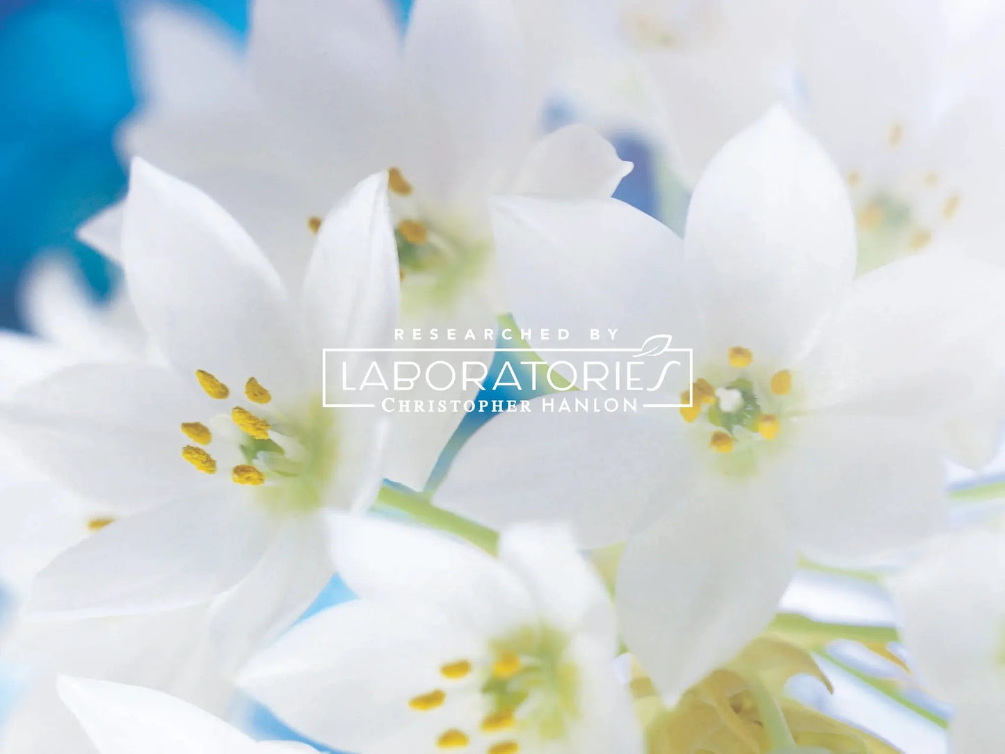 GOAT MILK, LEMON MYRTLE + LIME | HAIR + BODY LUXURY SHAMPOO by CHRISTOPHER HANLON®