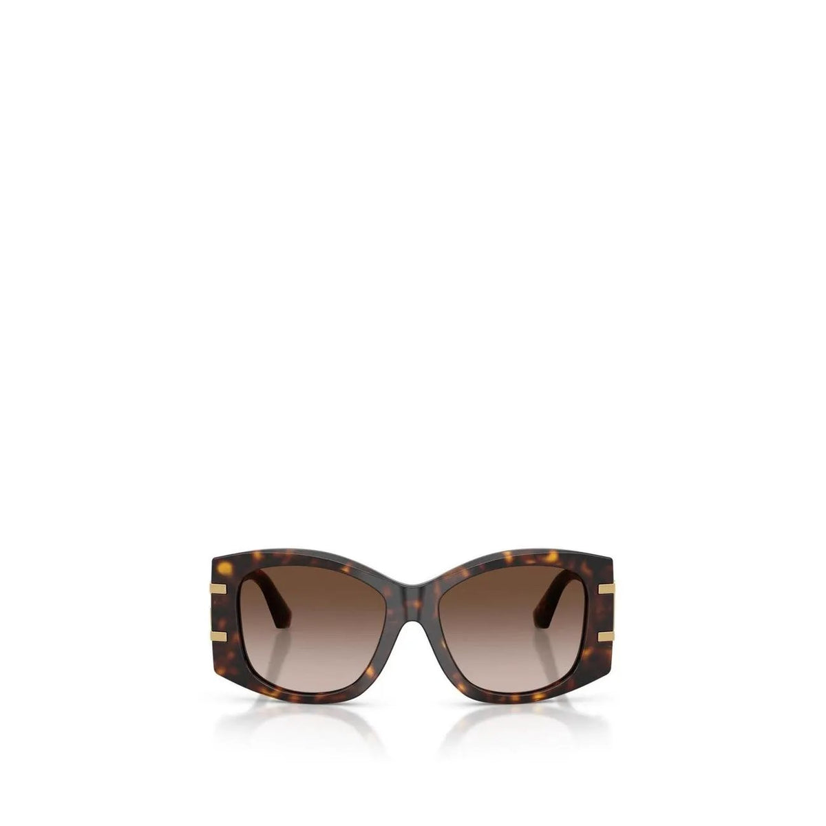 Dolce & Gabbana Women's Brown Sunglasses