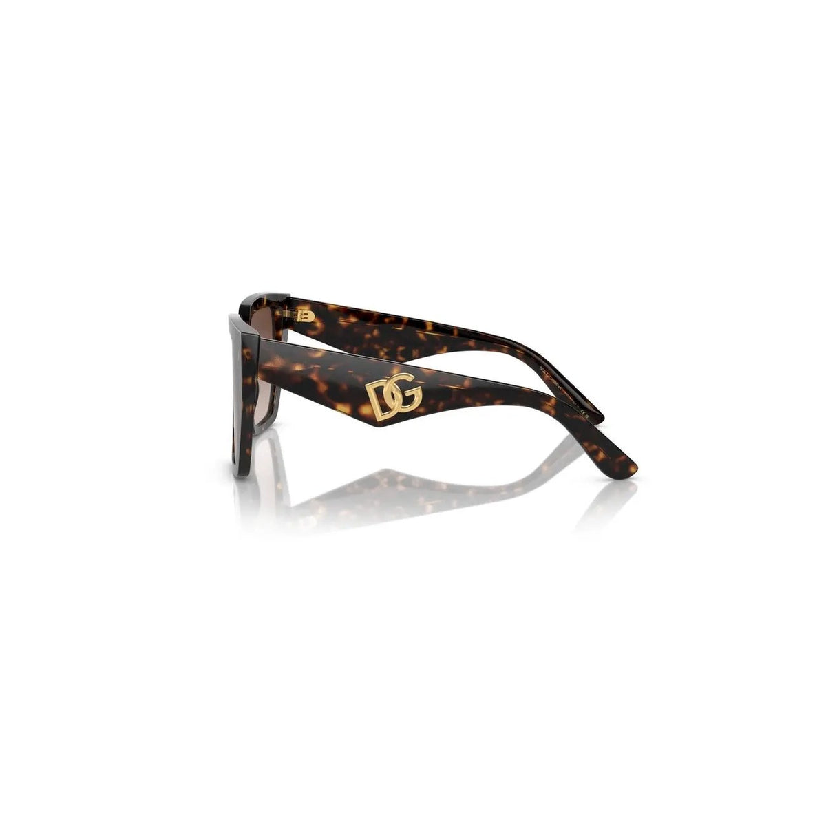 Dolce & Gabbana Women's Brown Sunglasses