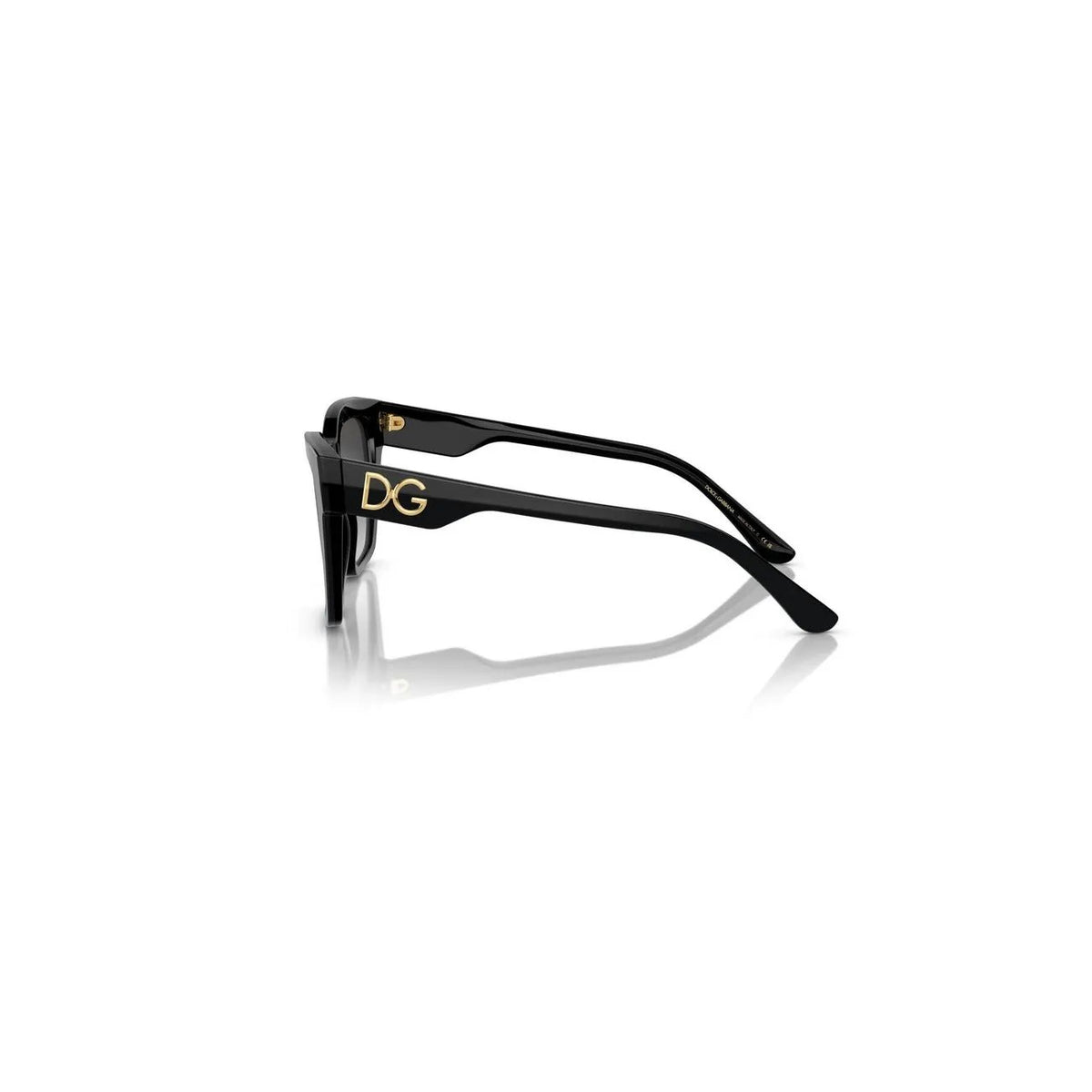 Dolce & Gabbana - Dolce & Gabbana Women Sunglasses