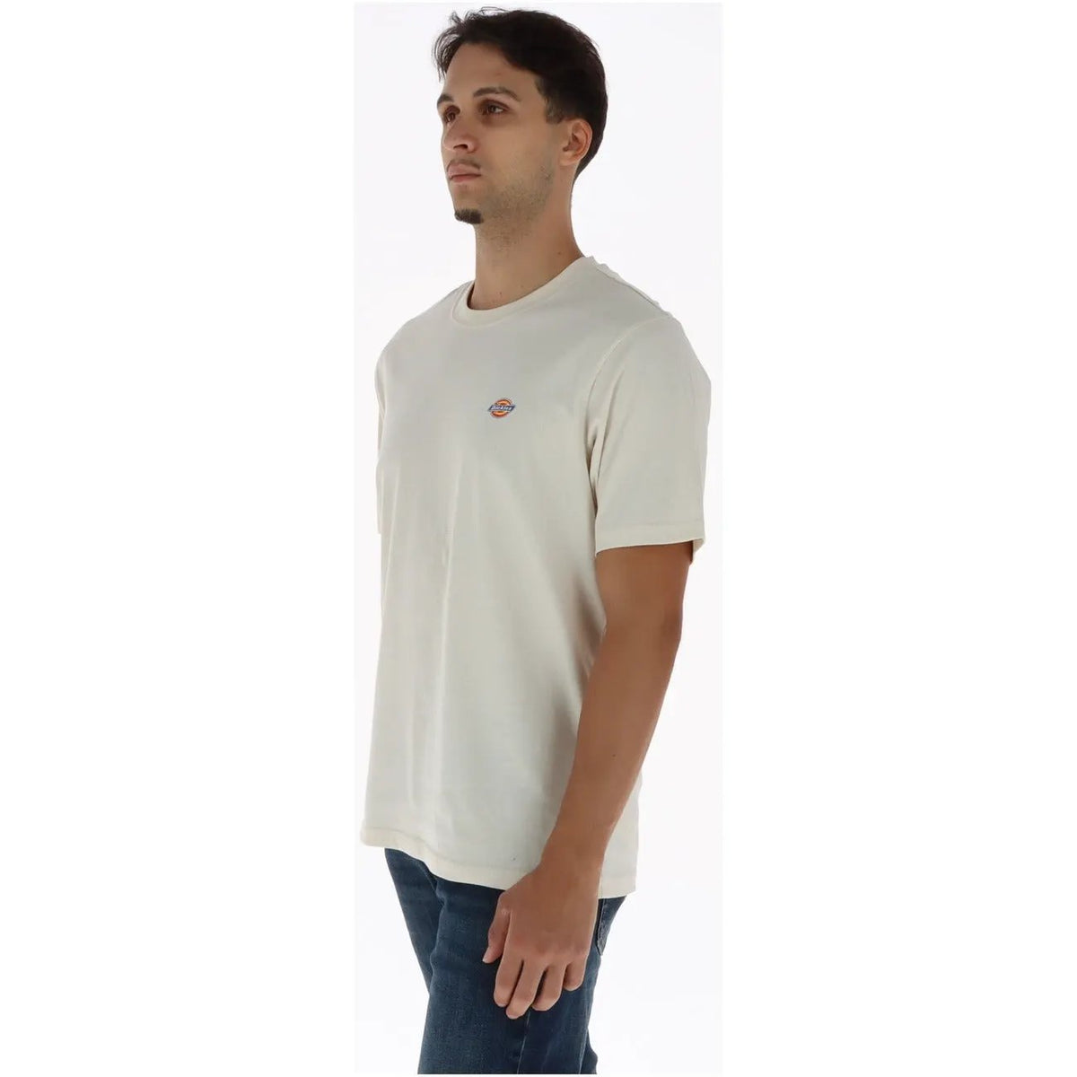 Dickies Men's Beige Cotton T-Shirt