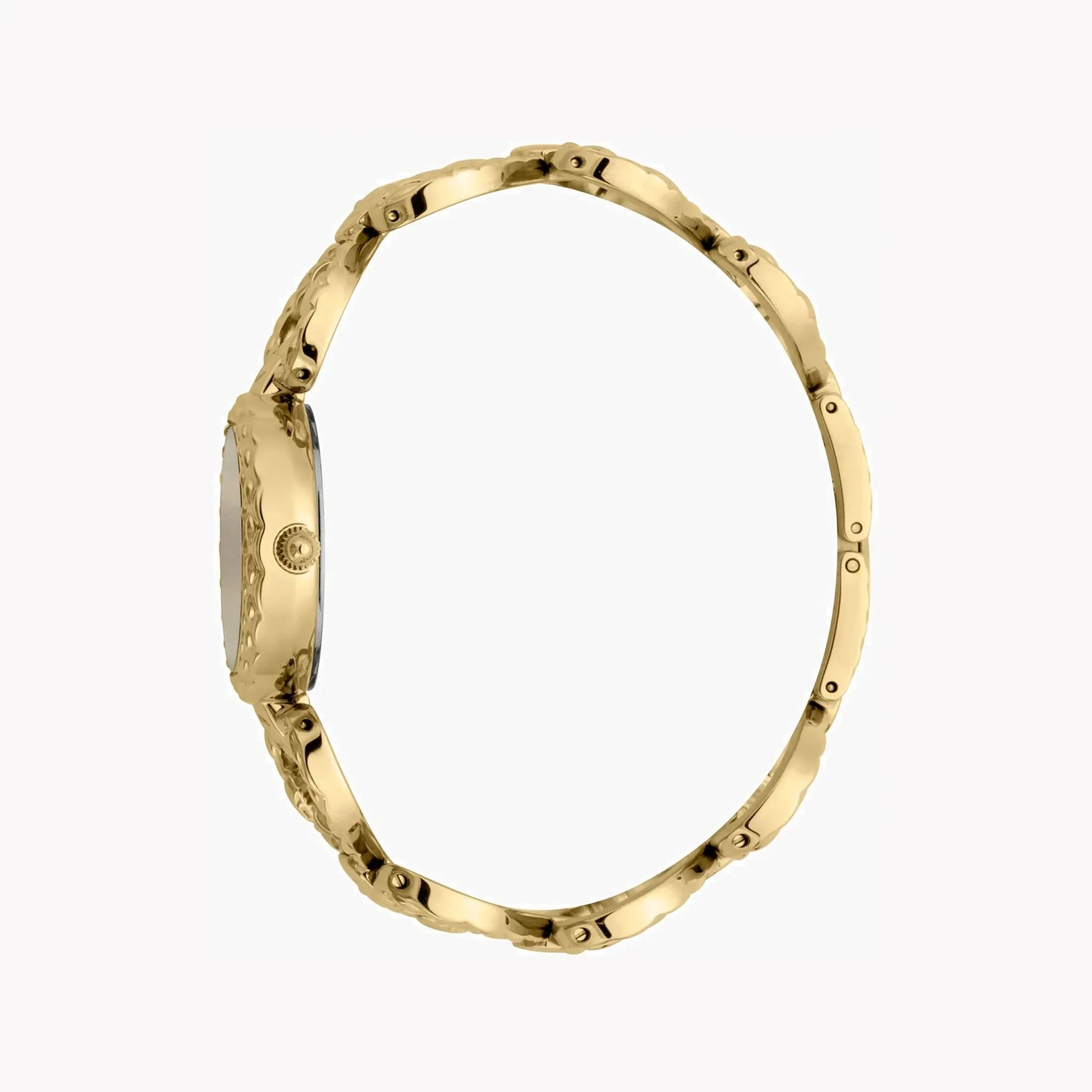 Just Cavalli Women's Gold Stainless Steel Watch, White Dial | Jc1l132m0025 by JUST CAVALLI