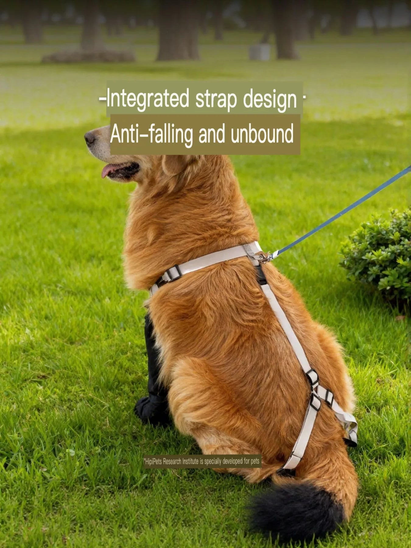 0bf130d9-ab51-4414-ac17-d35e269e9bb1-Max-Origin