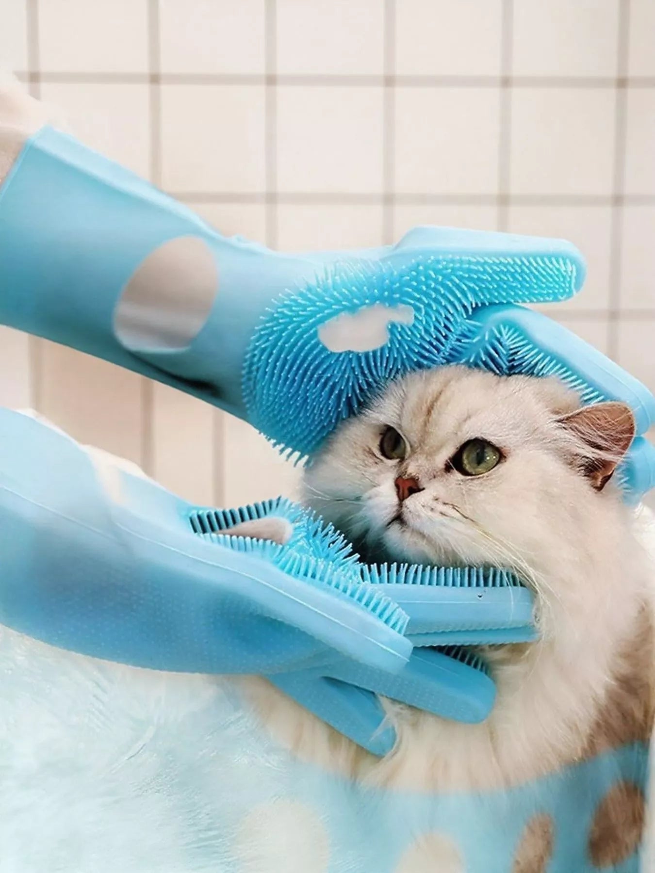 0f134ad7-01b2-41bc-b432-2f67f2035d32-Max-Origin