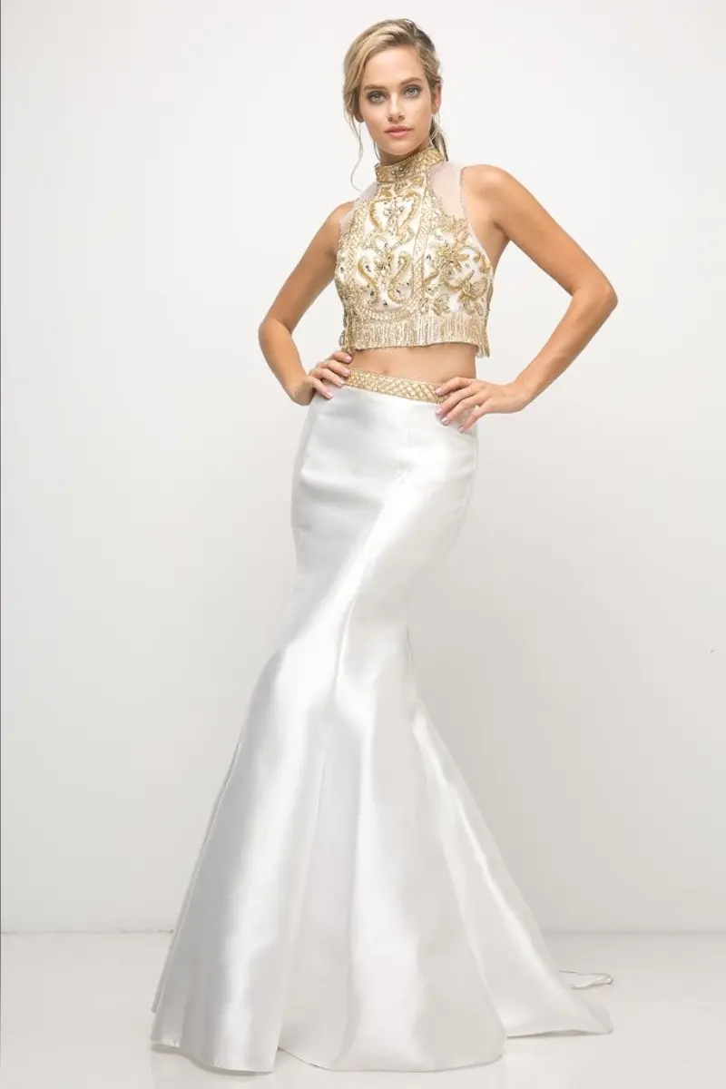 Beaded Bodice 2 Piece Mermaid Gown by Tux-USA