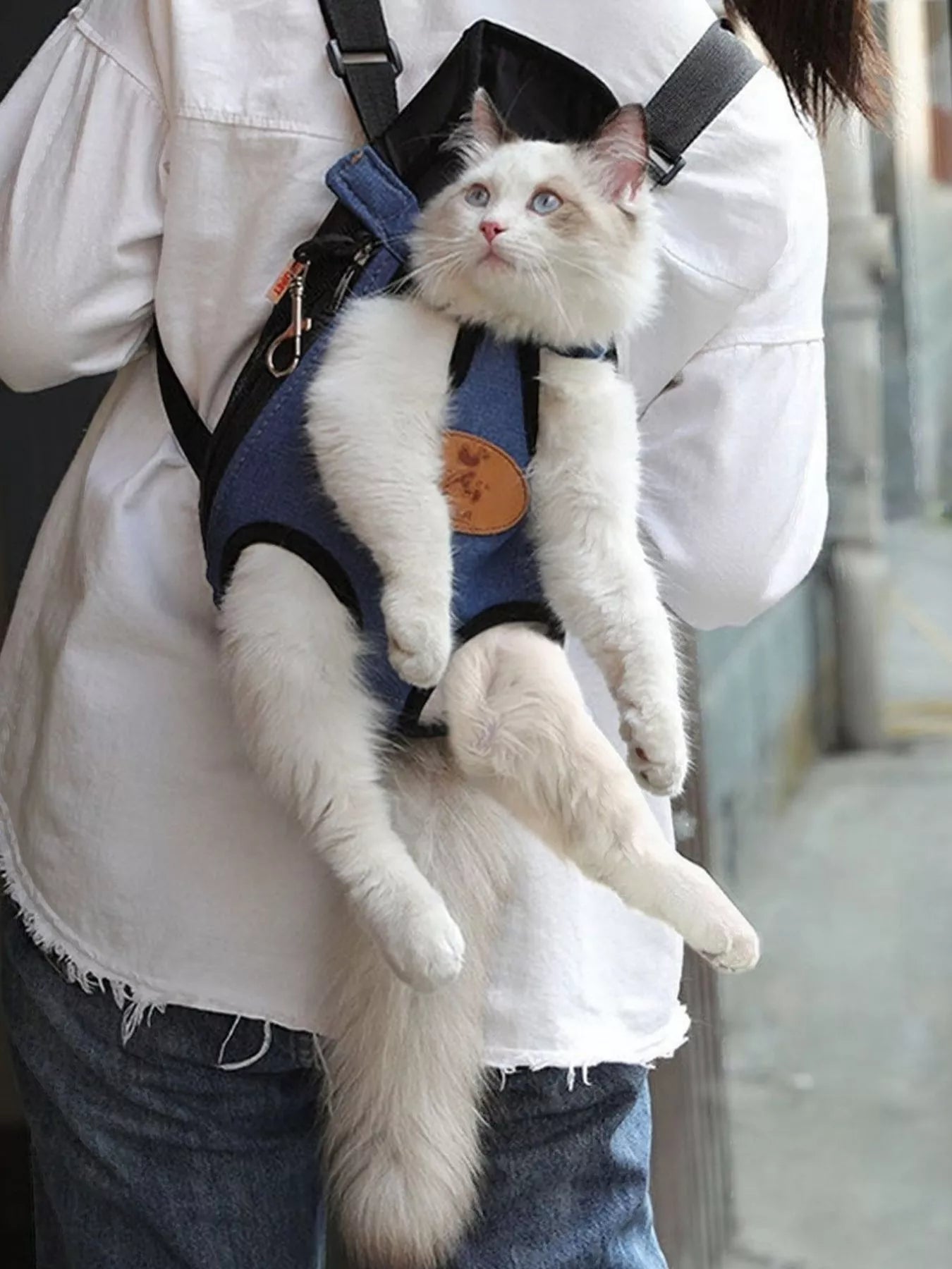 109dde38-335d-427d-a5a0-40434ef67bf0-Max-Origin