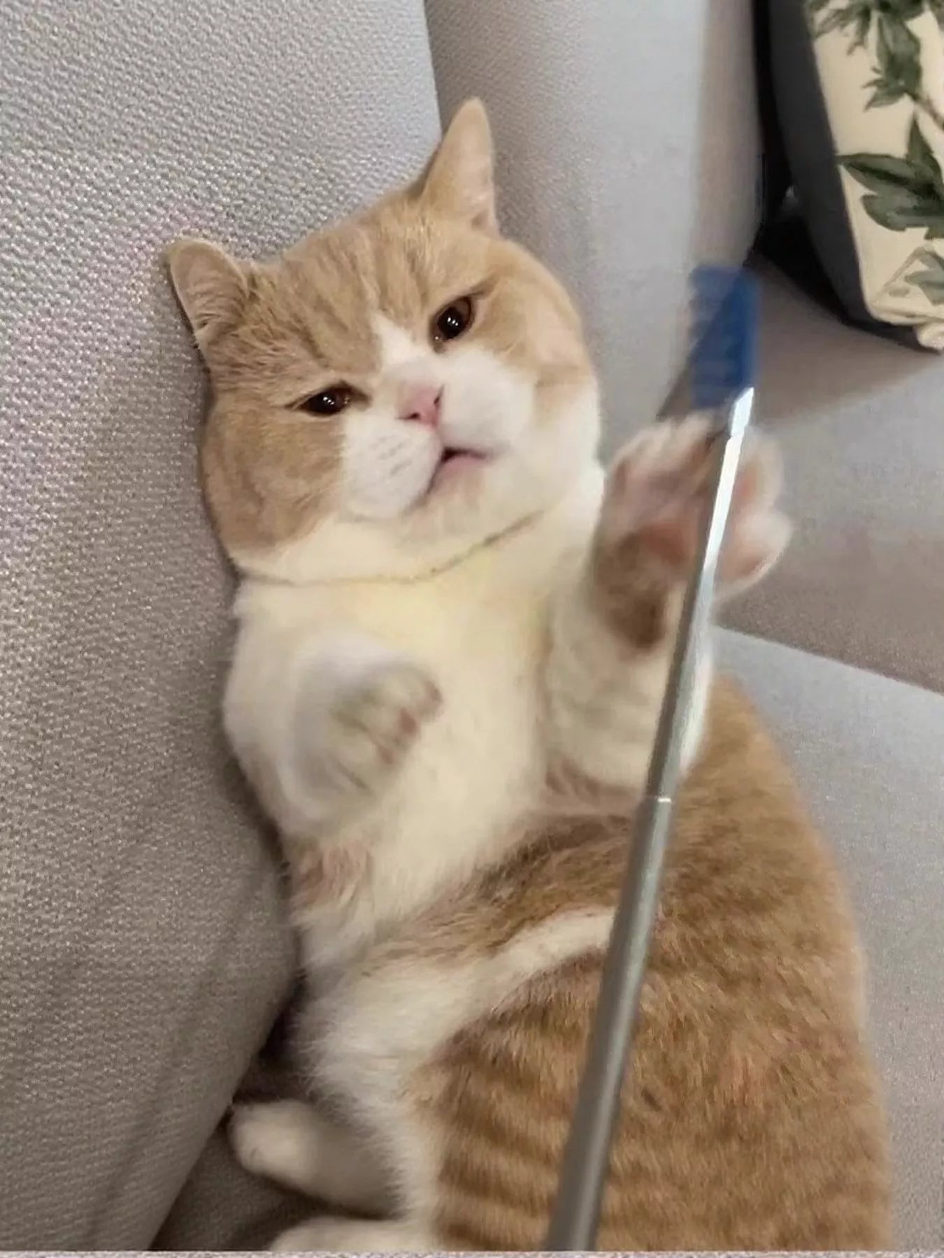 13433314-fa3d-4130-8e1e-1b0fa7dfc4fb-Max-Origin