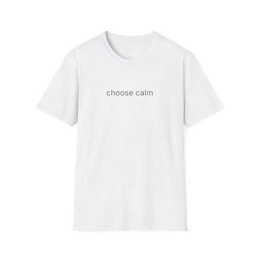 choose calm tshirt | minimalist text tee | unisex softstyle shirt | everyday comfort tee