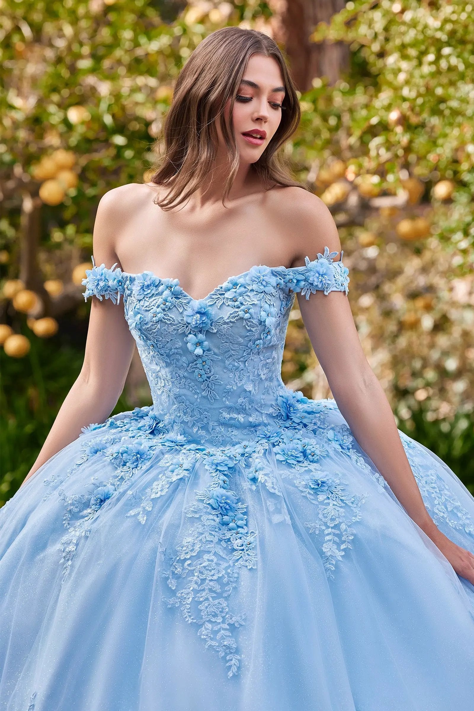 Ball Gown Off Shoulder Floral Embellished Glitter Tulle Quinceanera by Tux-USA
