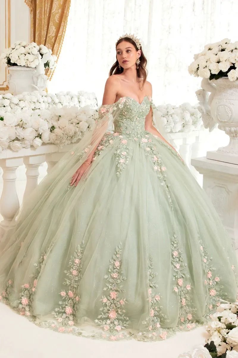 Sage Ball Gown With Blush Floral Details by Tux-USA