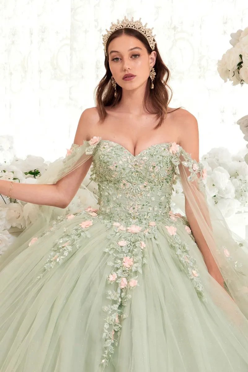 Sage Ball Gown With Blush Floral Details by Tux-USA