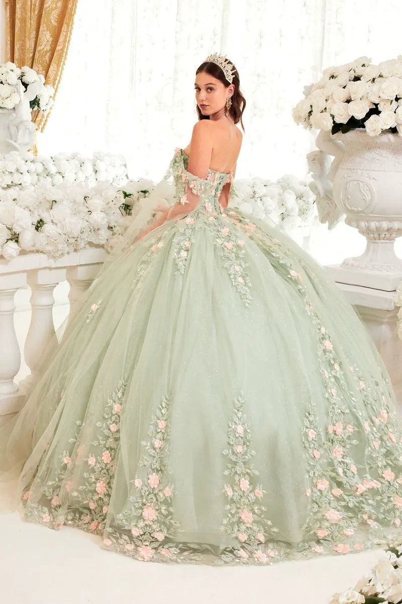 Sage Ball Gown With Blush Floral Details by Tux-USA
