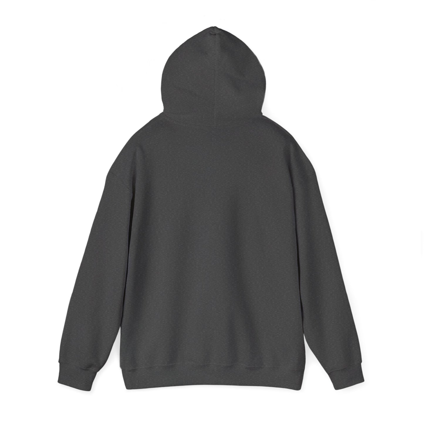 Resilience Hoodie — Minimalist Monochrome Photo Pullover