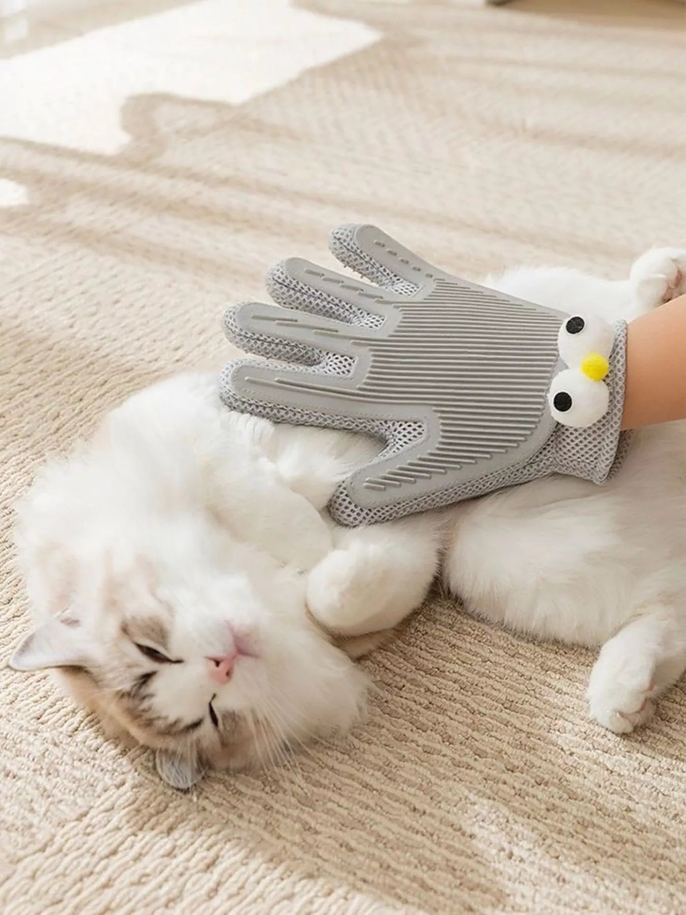 1c12b251-accc-4987-92ff-1a8f87f5a11a-Max-Origin