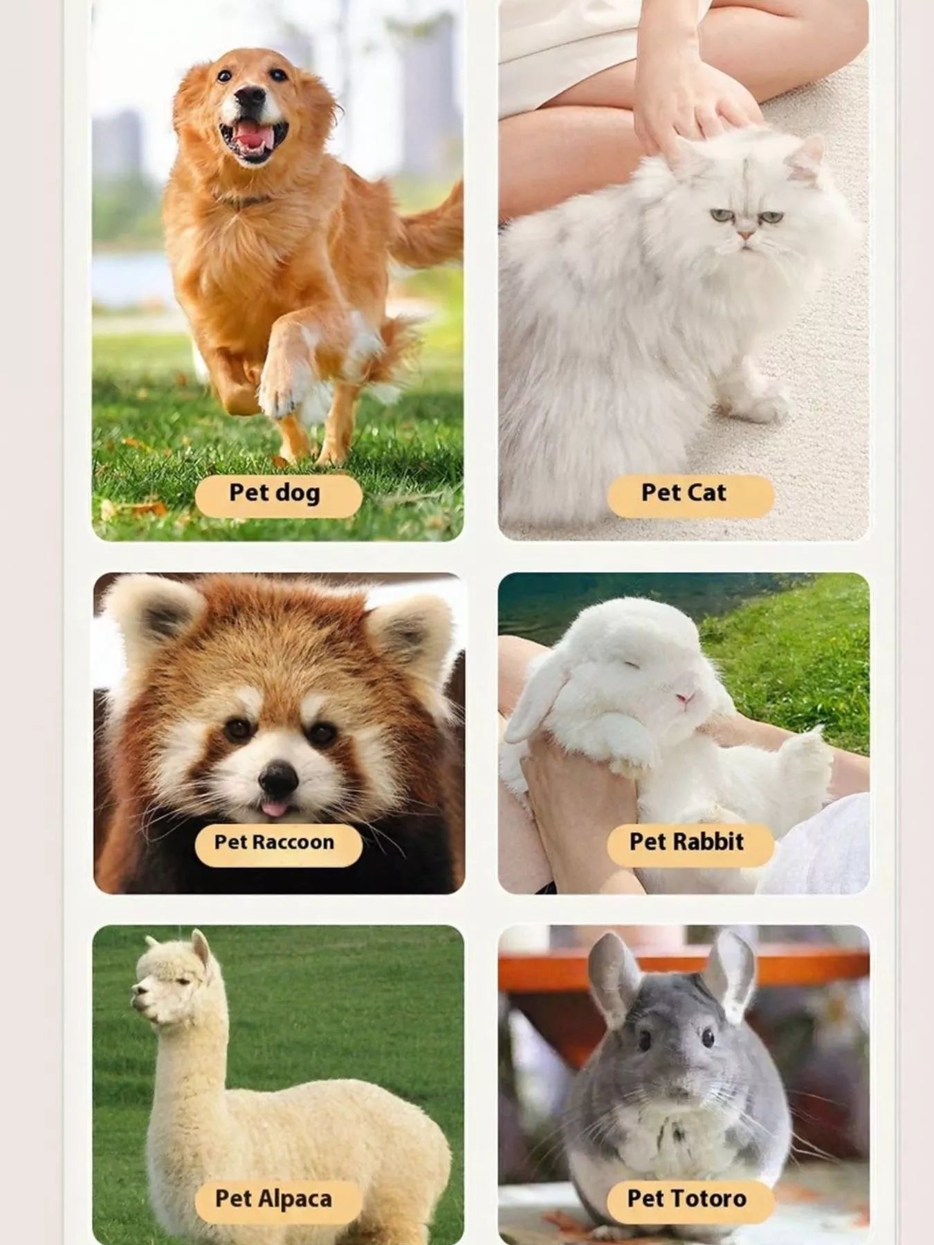 23081e88-8f7e-4546-b0b9-3db334231c9f-Max-Origin