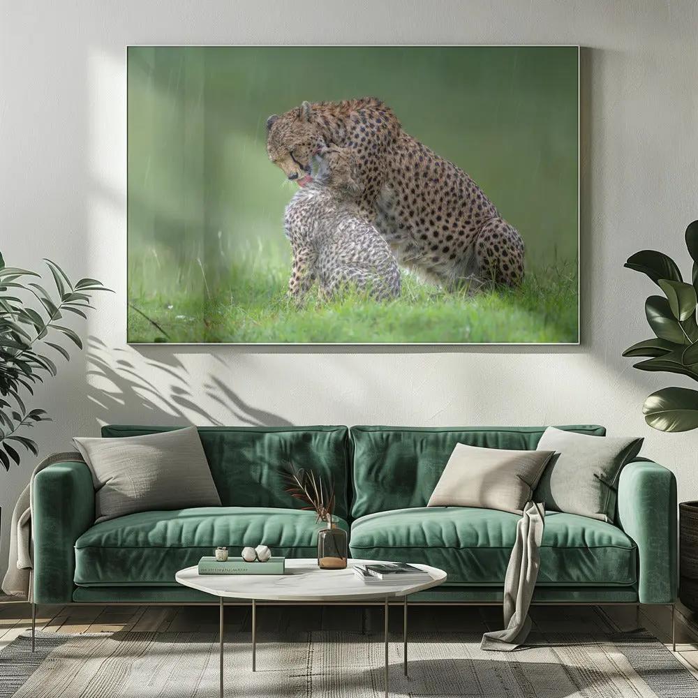 Wall art Cheetah with cub in the rain.Felines by Xavier Ortega