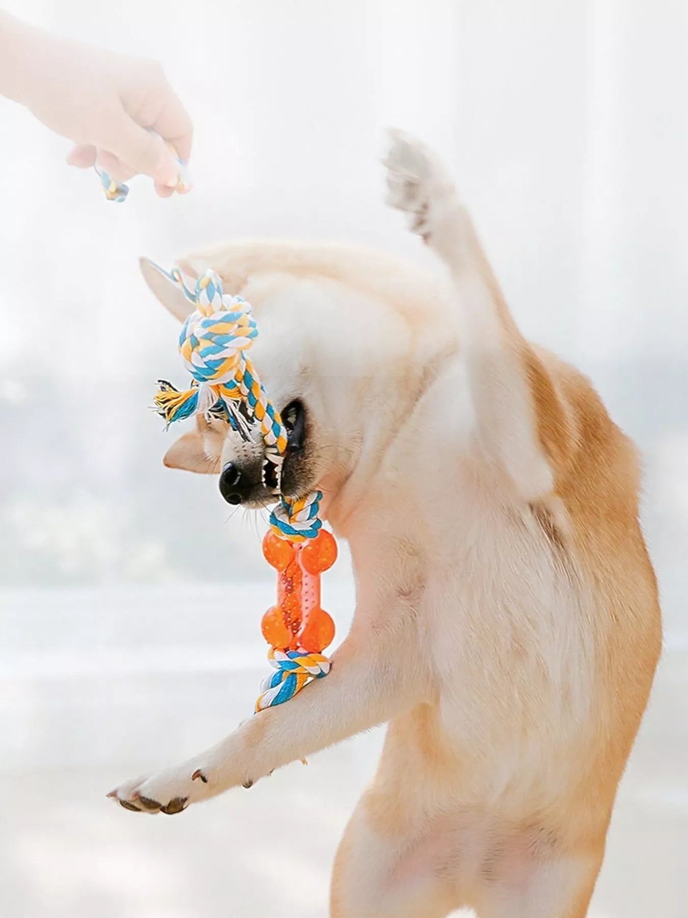 2a7166ec-1e47-4113-8ad4-5ab9175e4180-Max-Origin