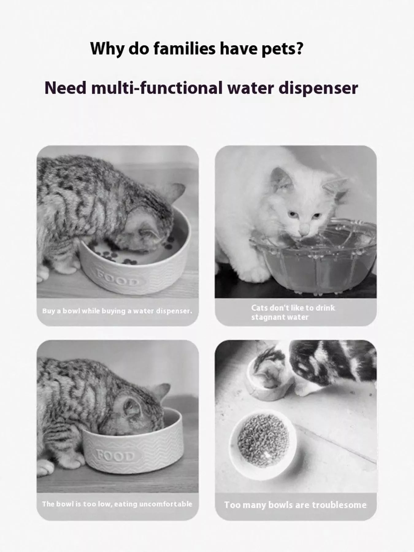 2e37d3e5-1469-451b-8006-b79b28eb2339-Max-Origin