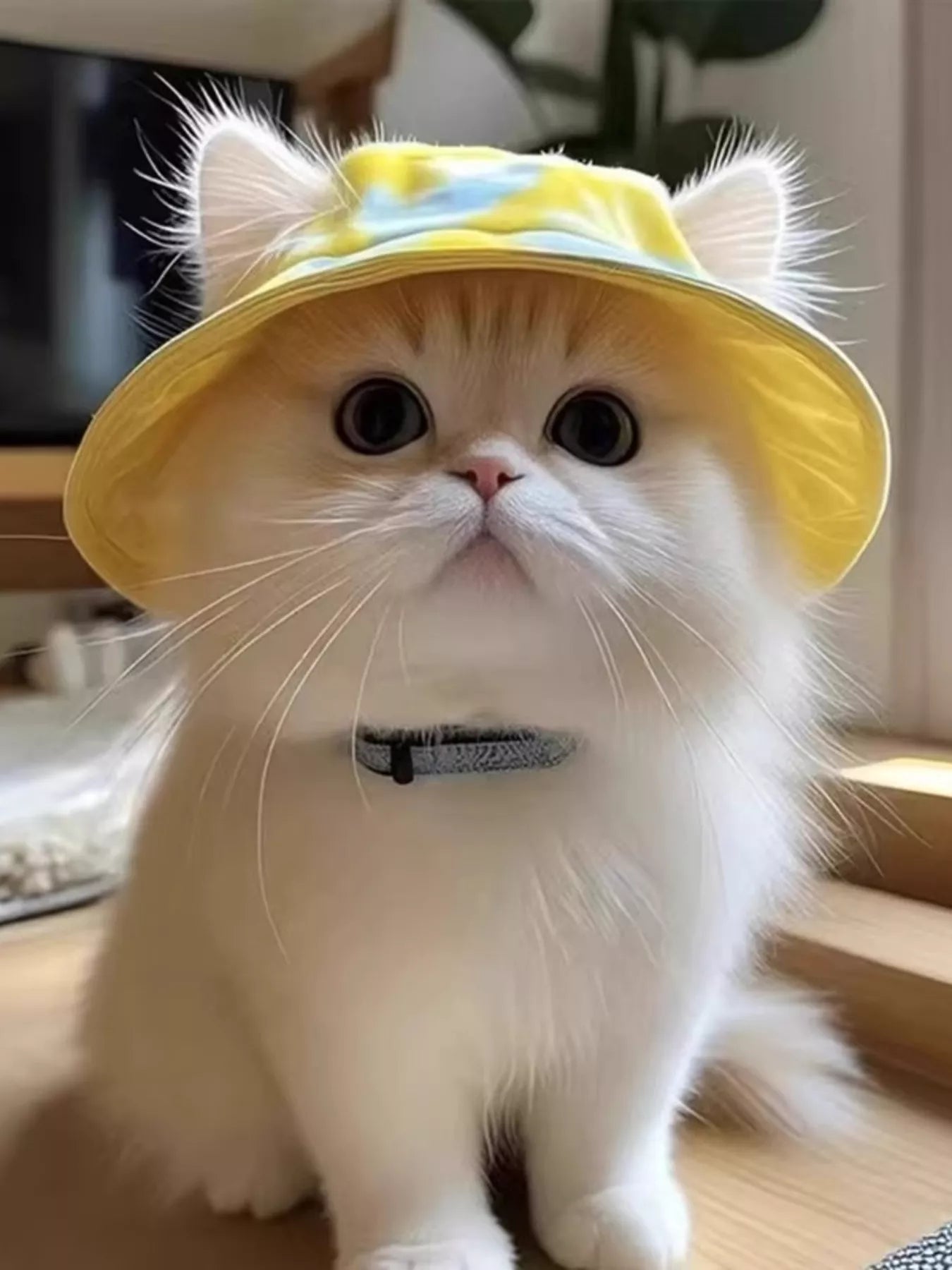 31fe0deaeba6407493b9ceedd7122033-Max-Origin