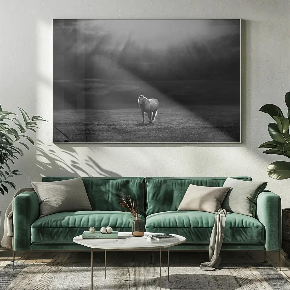 Wall art morning appearance. Hourses by Peter Svoboda MQEP