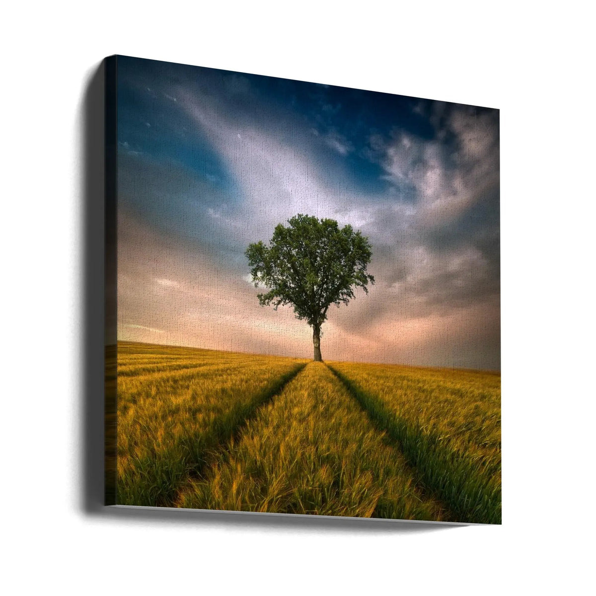Wall art One by Piotr Krol (Bax)