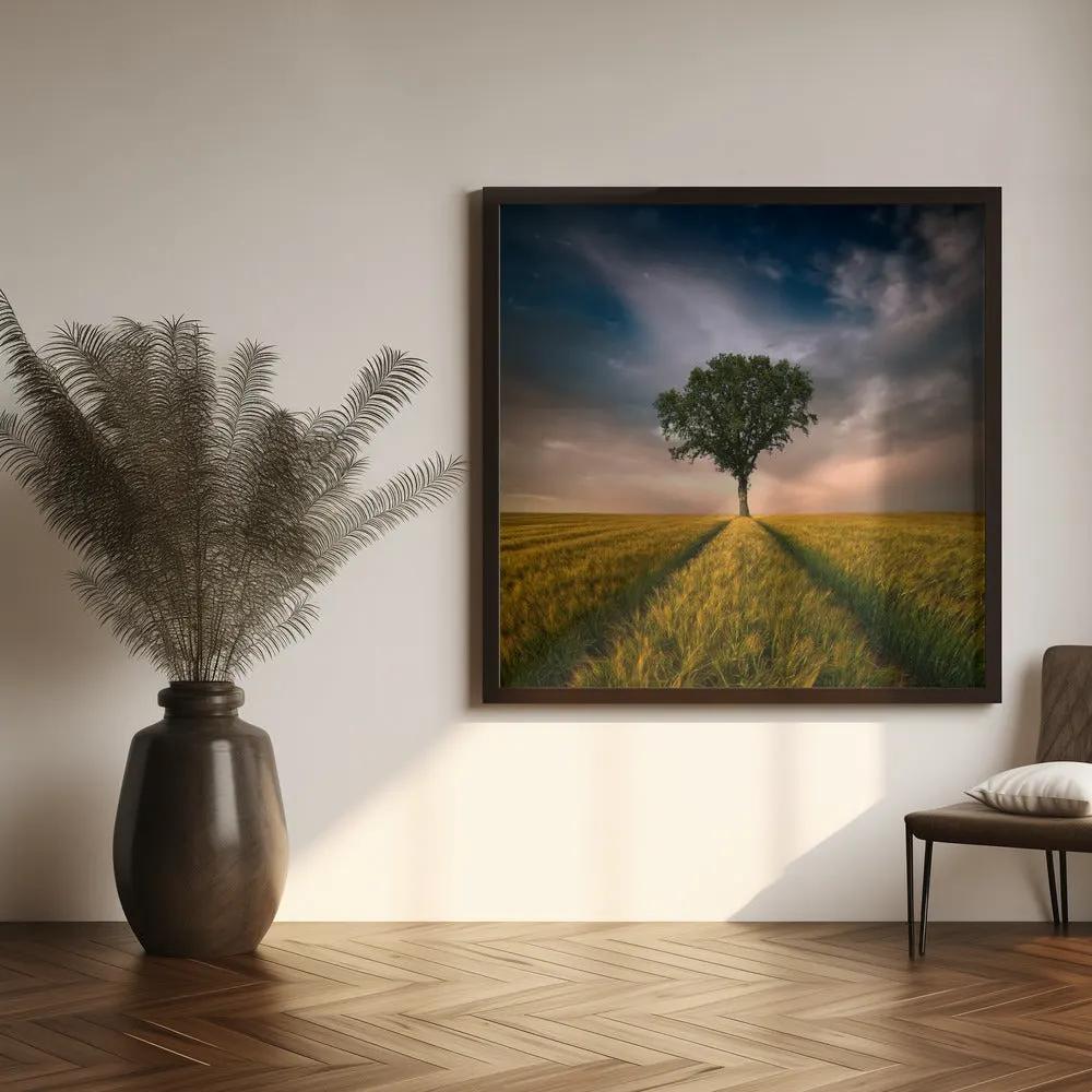 Wall art One by Piotr Krol (Bax)