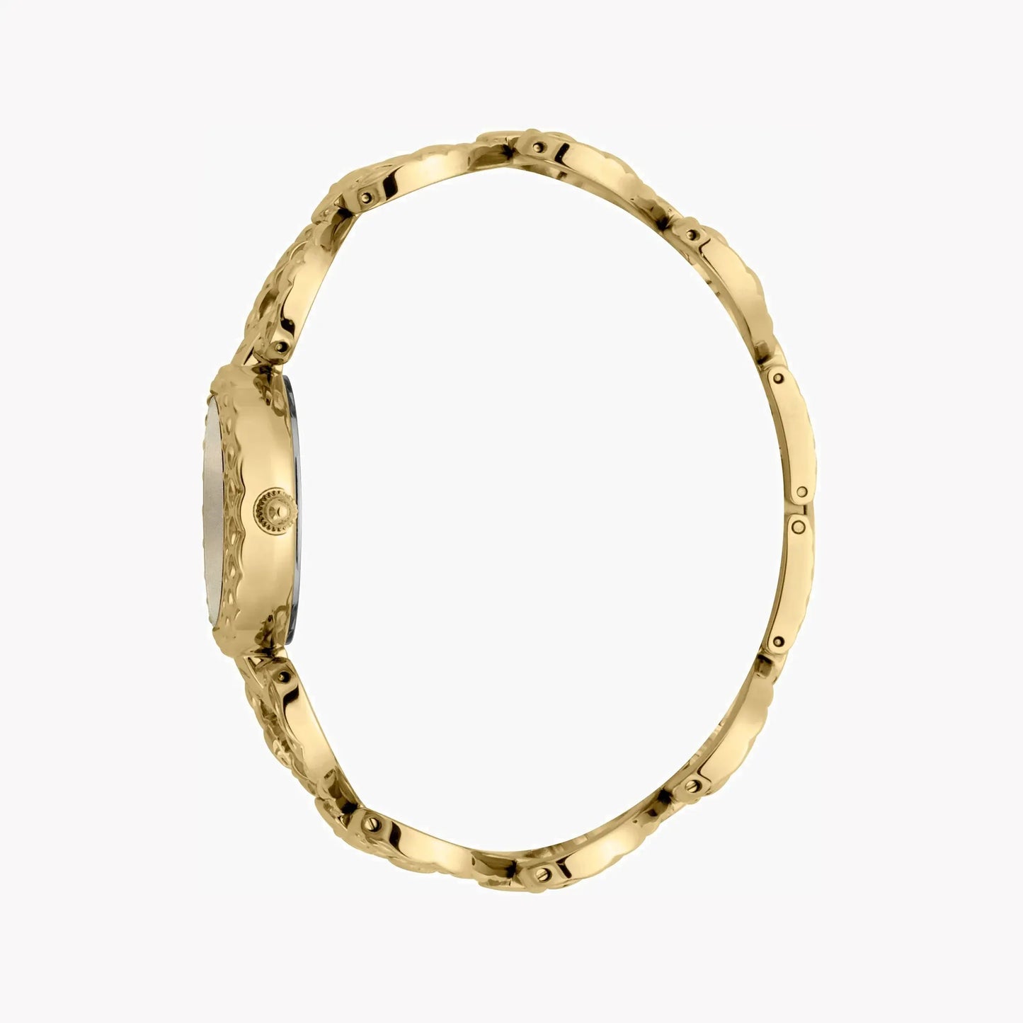 Just Cavalli Women's Gold Stainless Steel Watch, Silver Dial | Jc1l132m0075 by JUST CAVALLI