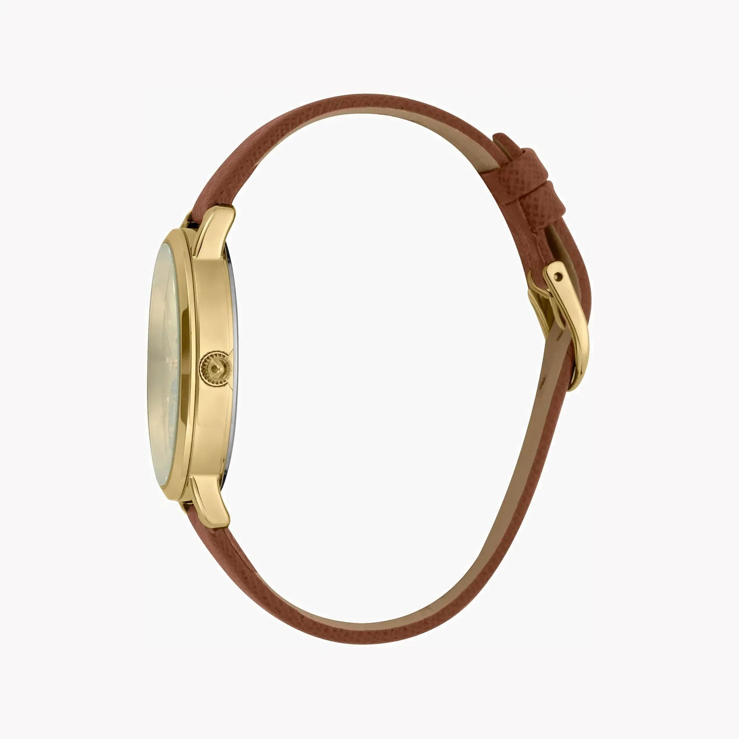 Just Cavalli Women's Brown Leather Watch, Champagne Dial | Jc1l117l0025 by JUST CAVALLI