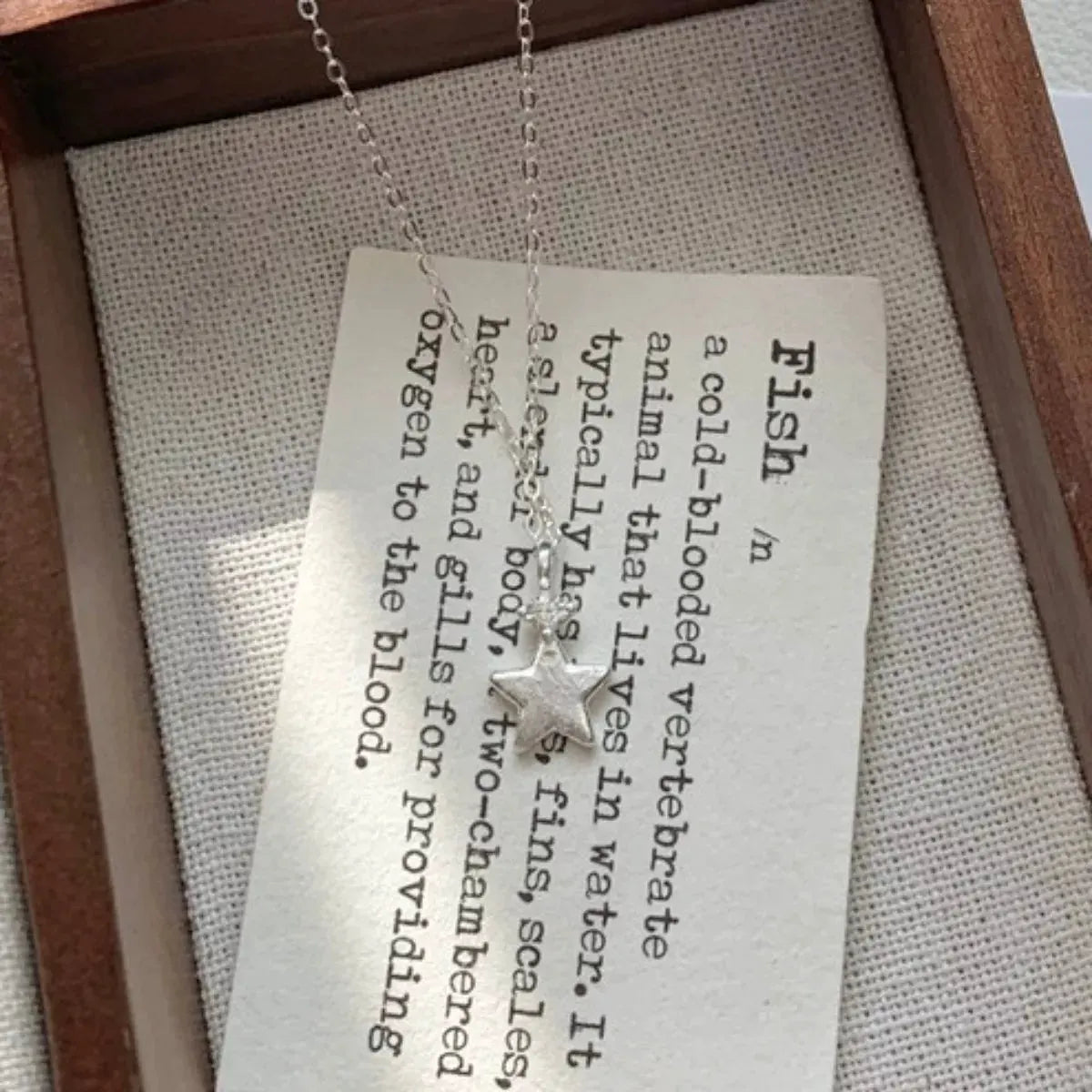925 Sterling Silver Star Pendant Necklace by Partner Labels