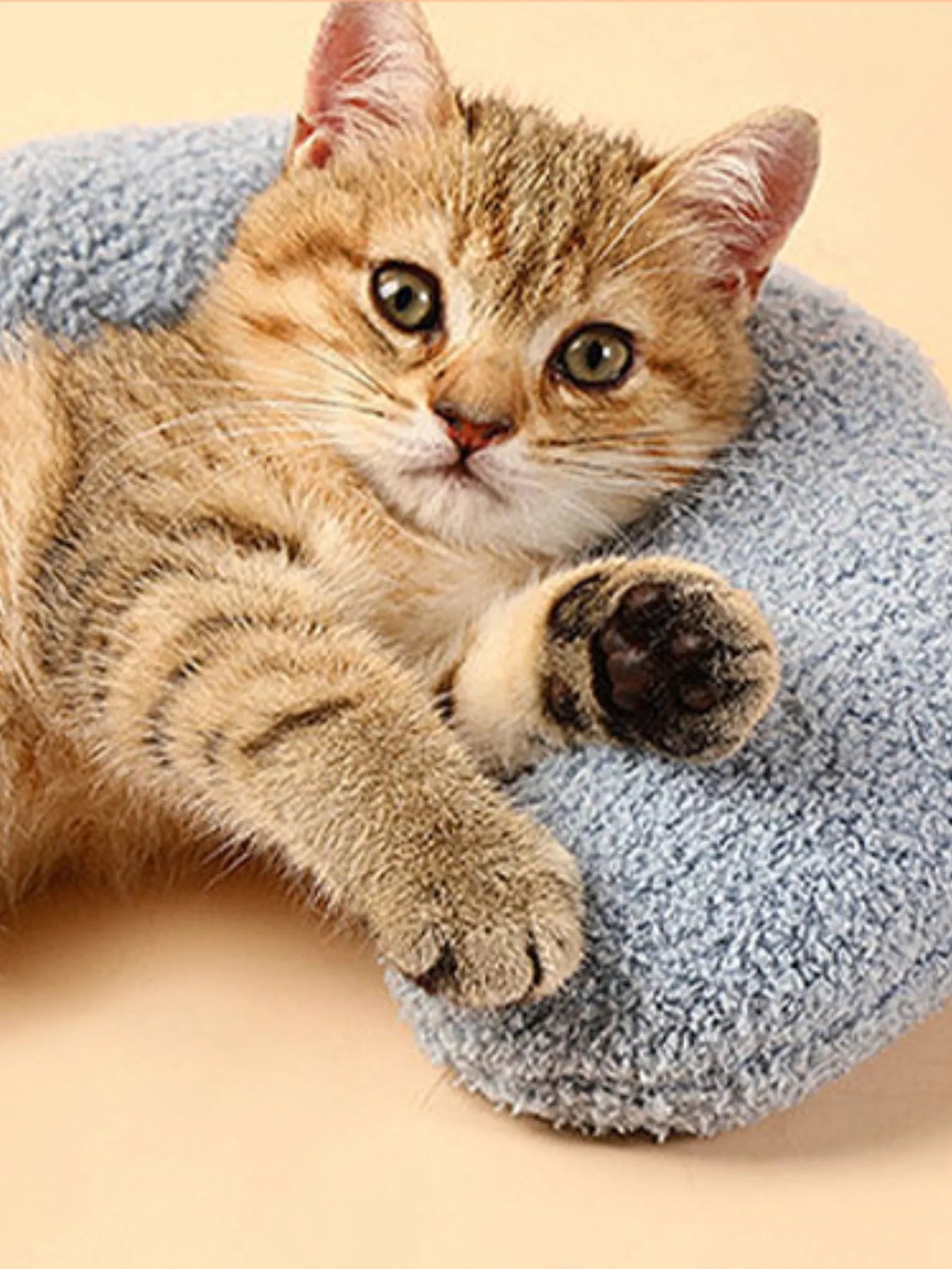 4047dc57-fd18-41e9-b181-85d514fec30b-Max-Origin