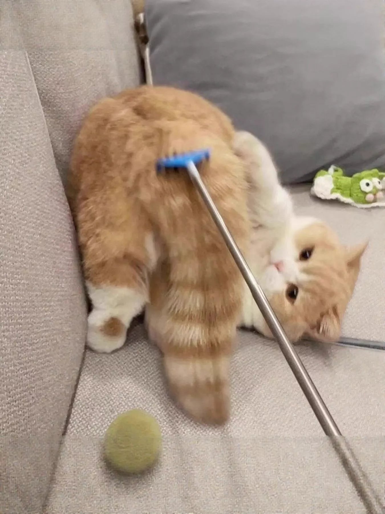 42f34213-4dff-4638-8eae-364349cb81b4-Max-Origin