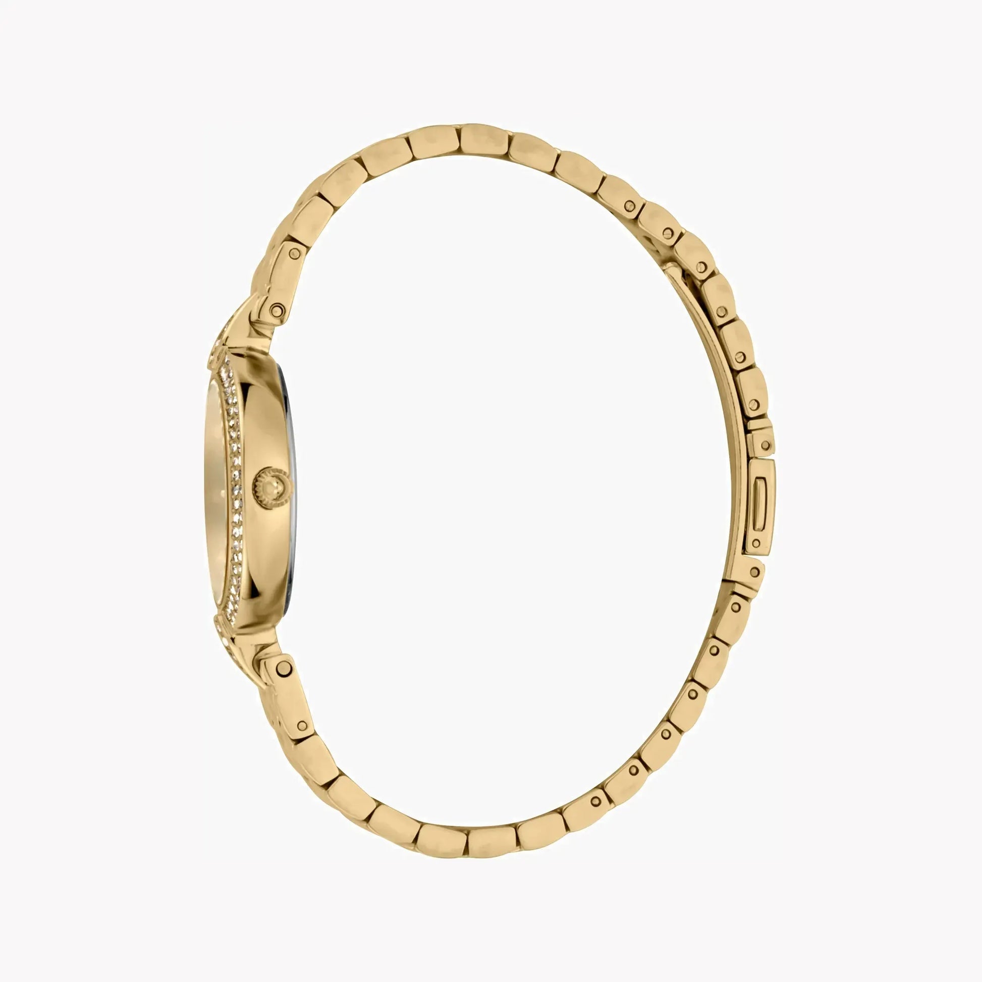 Just Cavalli Women's Gold Stainless Steel Watch, Champagne Dial | Jc1l159m0055 by JUST CAVALLI