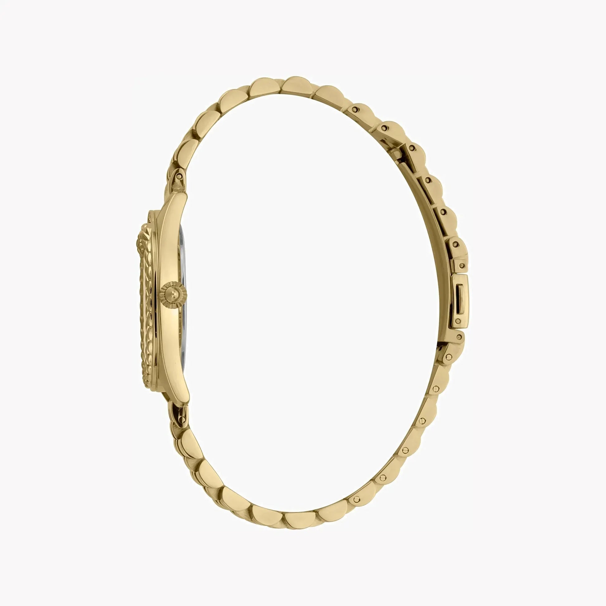 Just Cavalli Women's Gold Stainless Steel Watch, Silver Dial | Jc1l195m0355 by JUST CAVALLI