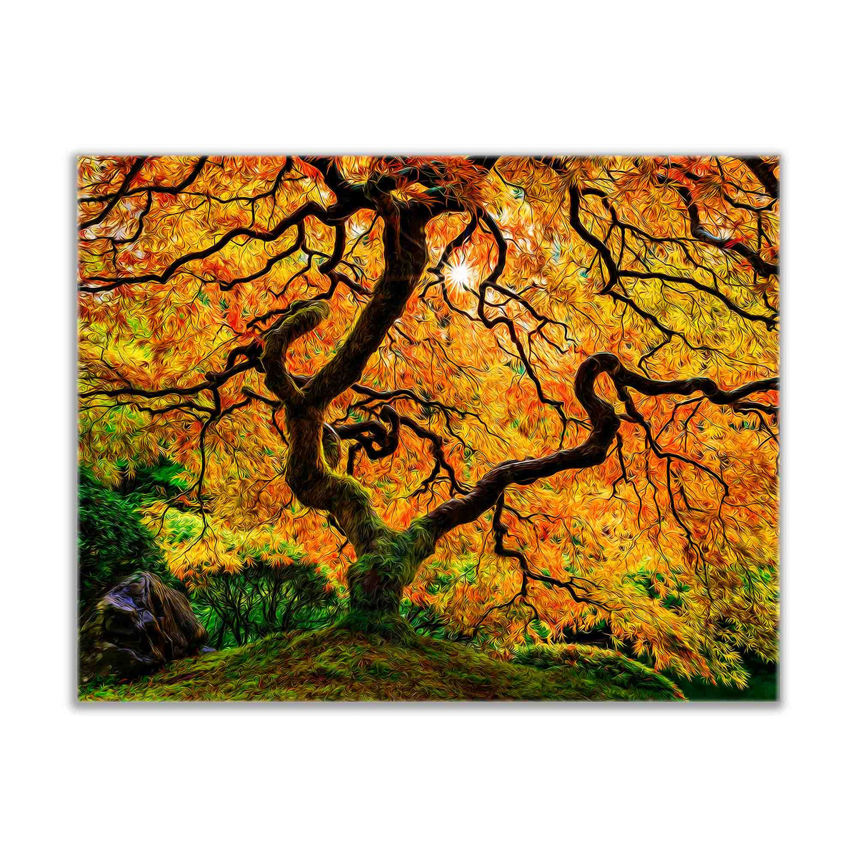Canvas Print-Orange Tree-Nature Artwork by Gtaart.ca