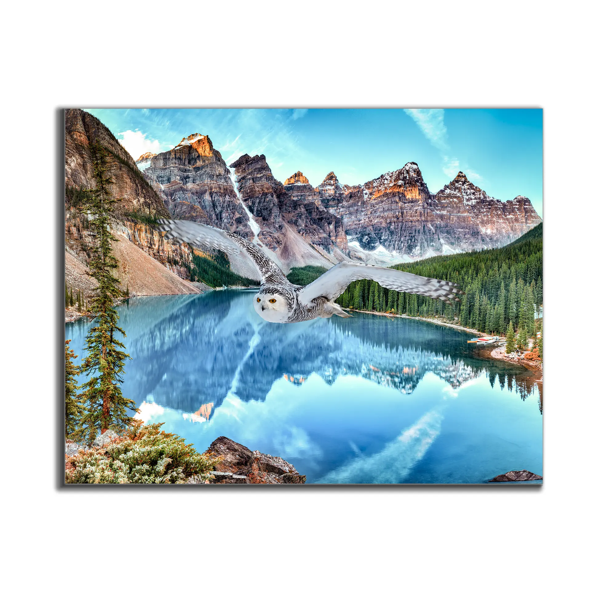 Canvas Wildlife Art-Snowy Owl at Banff-Printed Artwork by Gtaart.ca