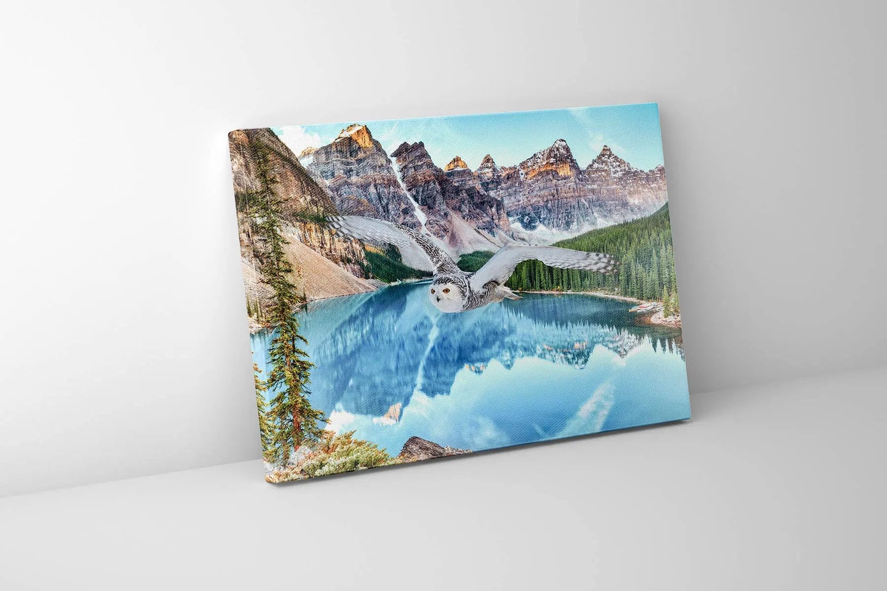 Canvas Wildlife Art-Snowy Owl at Banff-Printed Artwork by Gtaart.ca