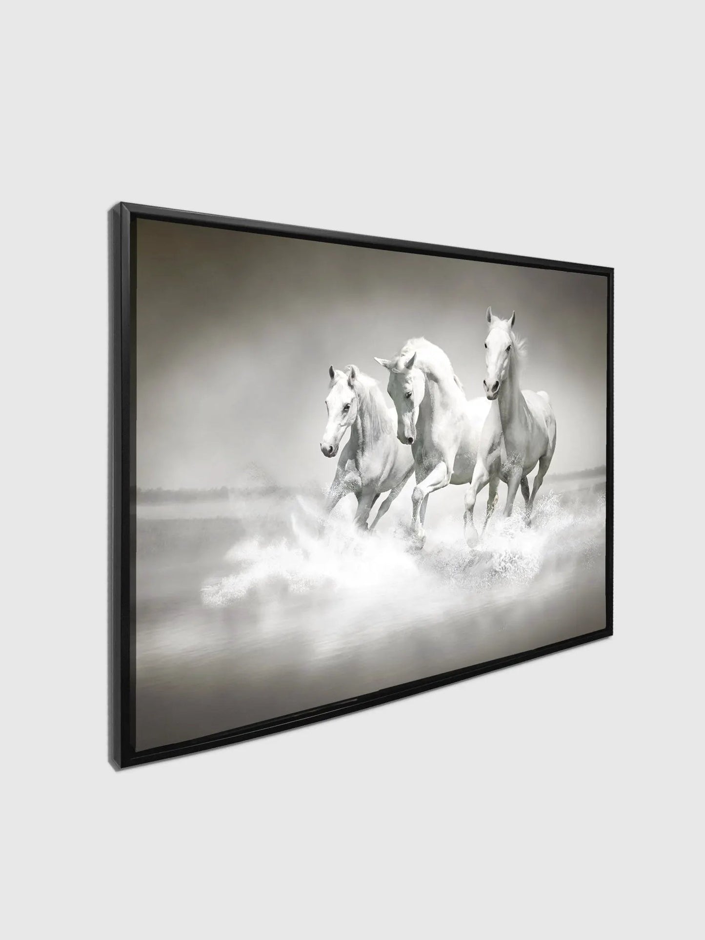 Black and White Stallions - Animal Print Canvas-Fine Art by Gtaart.ca