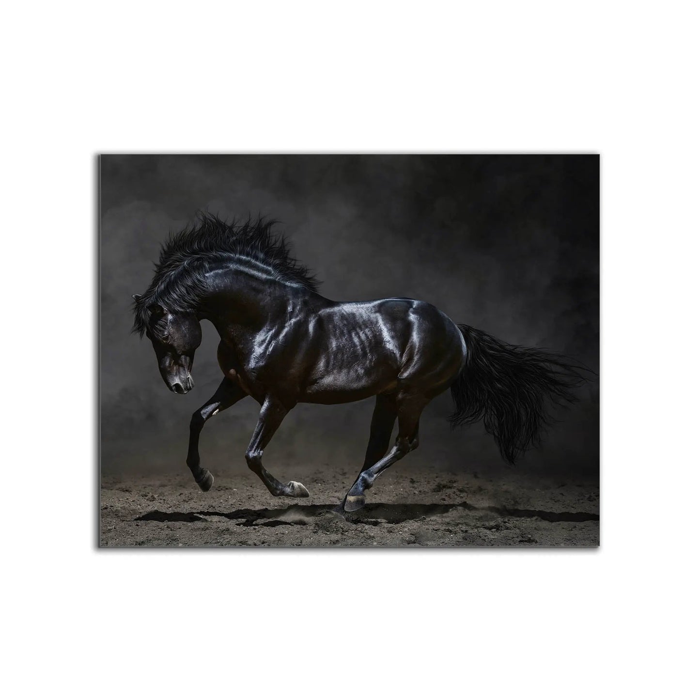 Black Majestic Horse - Wildlife Canvas Art - Diamond varnish by Gtaart.ca