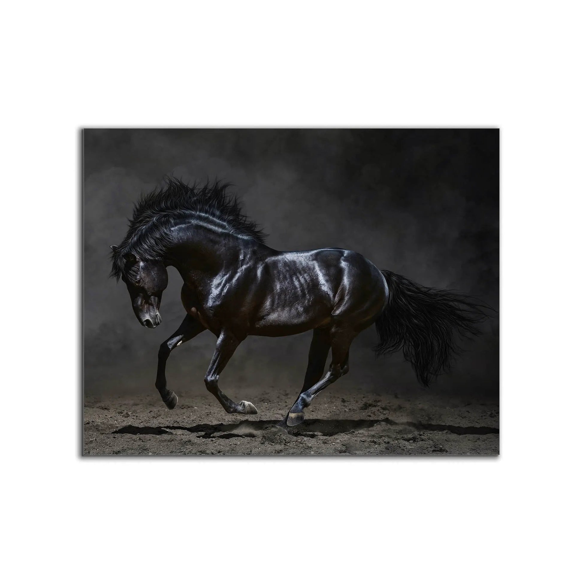 Black Majestic Horse - Wildlife Canvas Art - Diamond varnish by Gtaart.ca