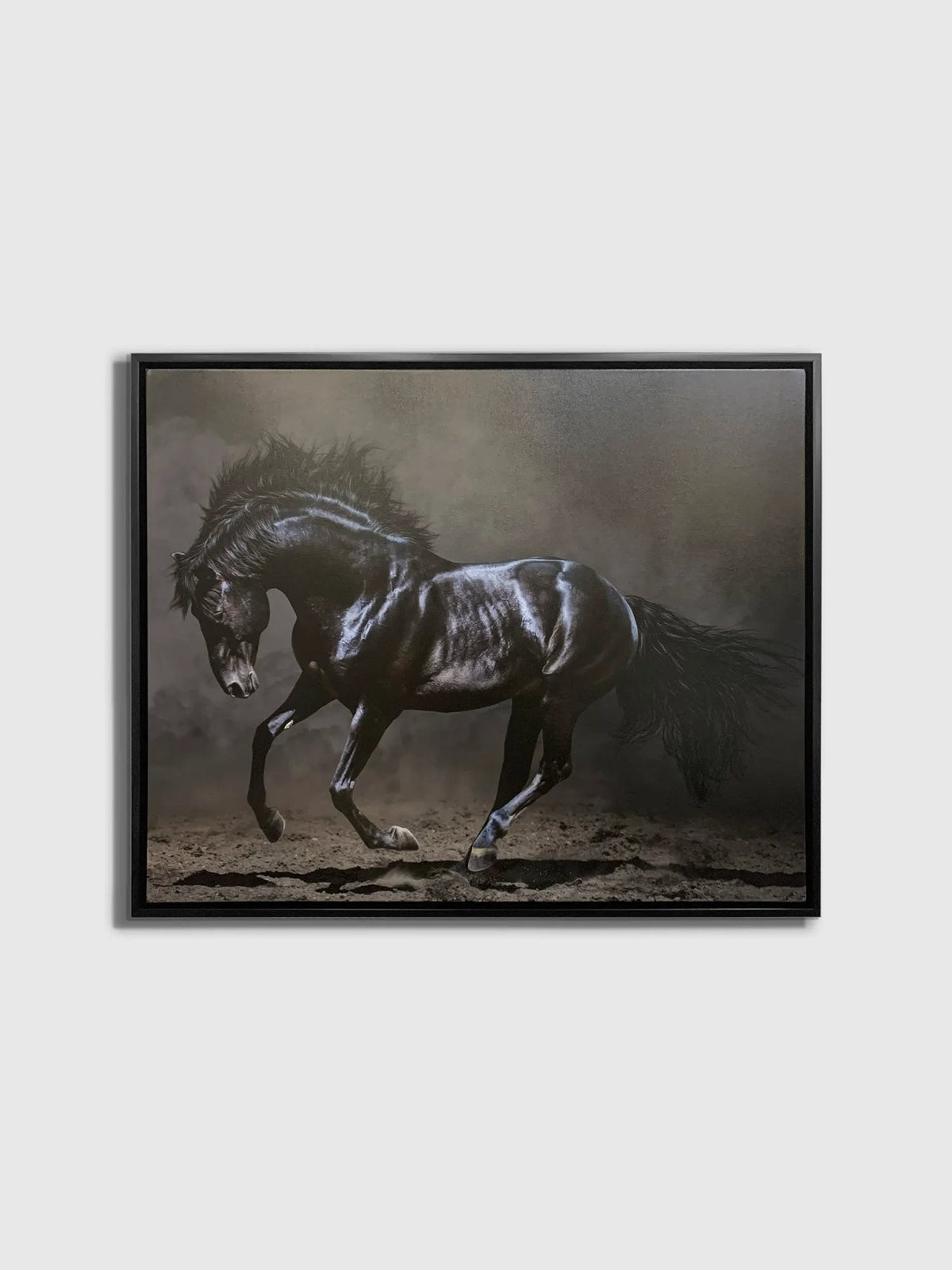Black Majestic Horse - Wildlife Canvas Art - Diamond varnish by Gtaart.ca