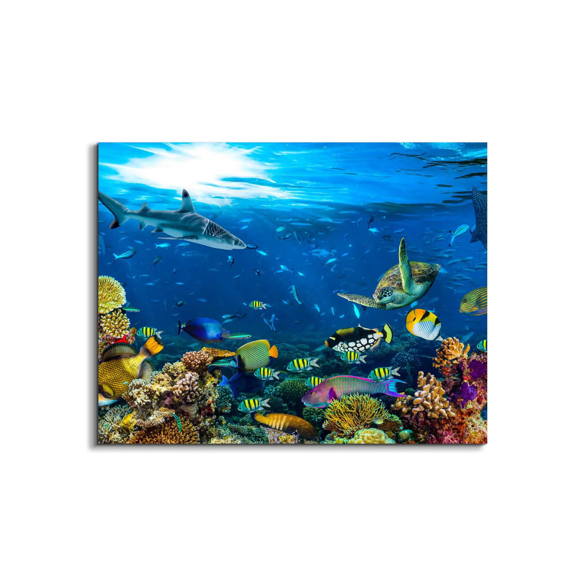 Canvas Print-Below the Surface-Wall Art by Gtaart.ca