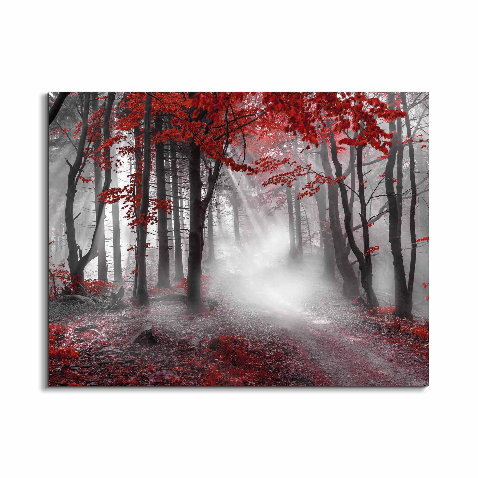 Printed Artwork-Red Isolate Forest-Wall decor by Gtaart.ca